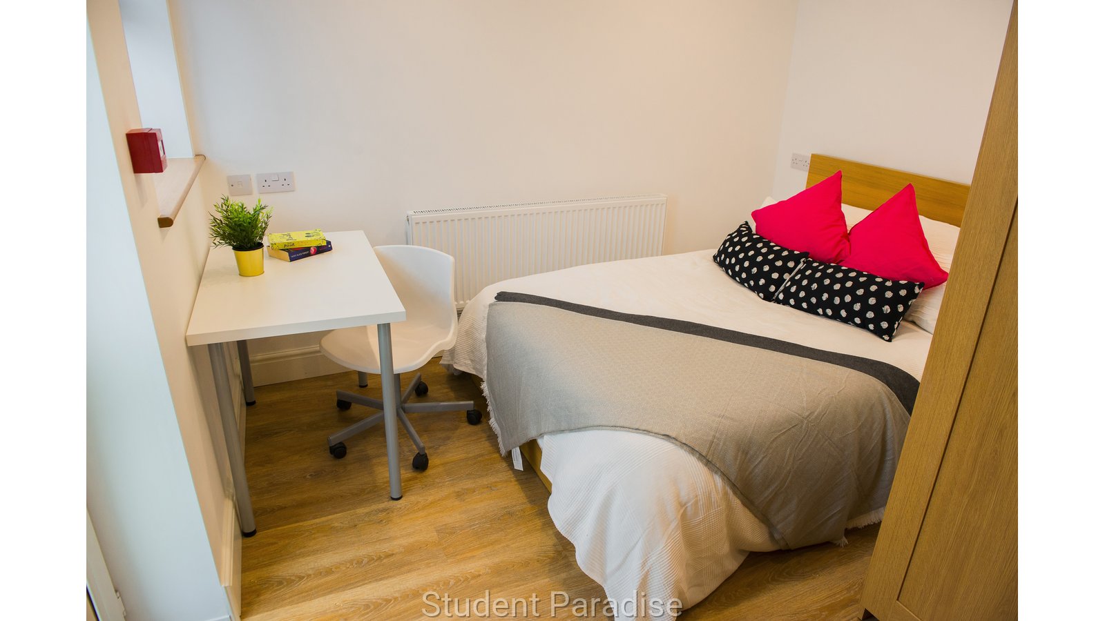 Room photo
